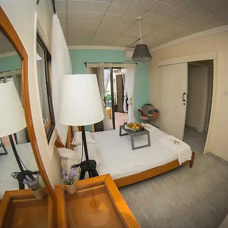 Villa Elena Aya Napa
